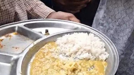 MP: Students protest after caterpillars found in hostel food (Photo: IANS)