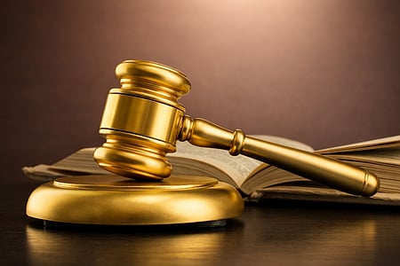 AFT converts dismissal of gay IAF personnel to discharge (Photo: IANS)
