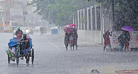 Chhattisgarh hit by heavy rains; schools closed, Bastar villages isolated