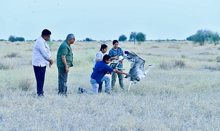 Union Minister Bhupender Yadav releases two rare Great Indian Bustards in Jaisalmer