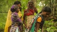 How Gujarat tribal village revived its forests, inspired 65 others