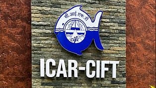 ICAR-CIFT to back GI tagging of traditional Andaman fish products
