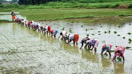 Synergy between education, innovation, skilling key to agricultural progress: Govt