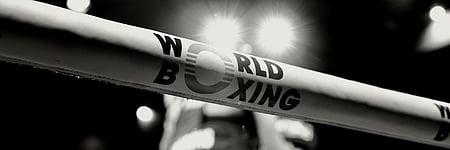 World Boxing U-19 C