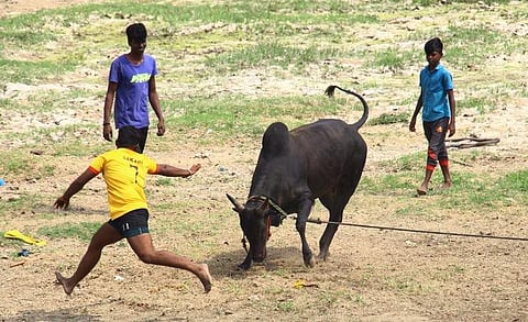 From January there will be various tournaments held across the state and there will be many participants in all the districts across Tamil Nadu  (Pic: Express)