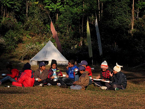 Zoo summer camp at IGZP to teach children wildlife conservation, animal care and behaviour