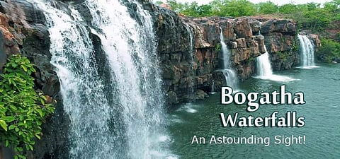 Telangana Forest department has selected 15 women from Cheekupally village which is located just around 200 metres away from the gate leading to the waterfalls