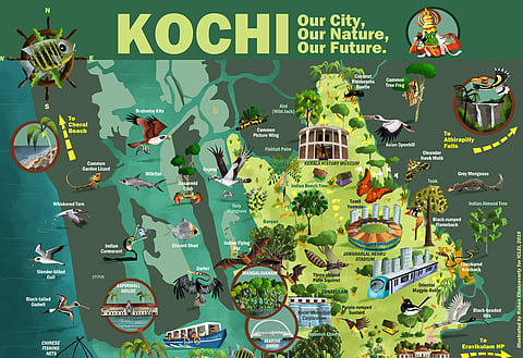 ICLEI has introduced the biodiversity mapping programme across 3 countries
