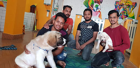 All this has certainly made them popular enough. So much so that they are booked for the whole month and are considering opening a new branch  (Pic: Mad For Dogs)