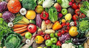 Deputy Director of Horticulture D Manjunath said he was not sure when the college would start