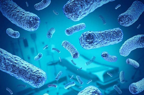 Bacterial outbreak in China infects thousands of people after factory leak
