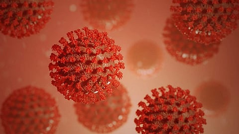 The spread of the HMPV virus in Asia raises public health concerns, especially for vulnerable populations such as children