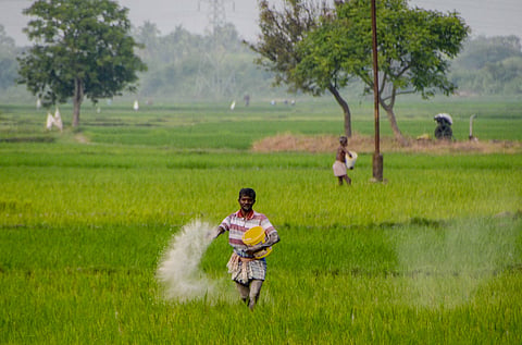 Picture for representational purposes only | (Pic: Express)