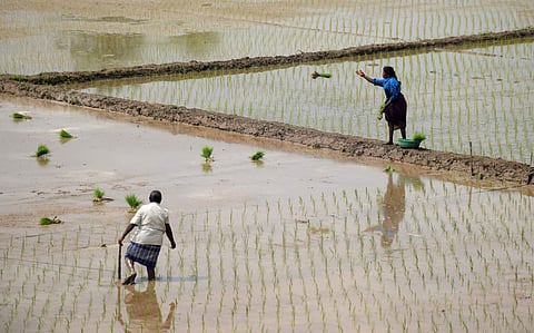 TN Agricultural University and ITC sign a pact on optimising use of water for crops