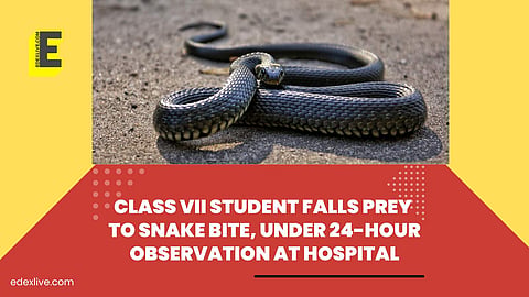 Class VII student falls prey to snake bite, under 24-hour observation at hospital | (Pic: EdexLive)