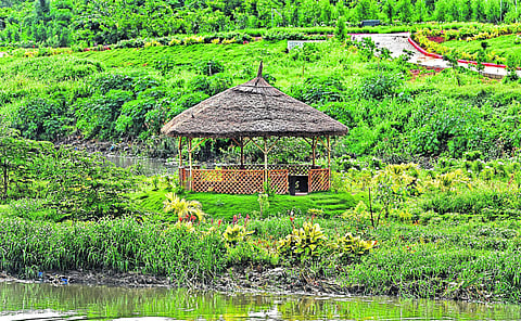 Picture for representational purpose only | (Pic: Express)