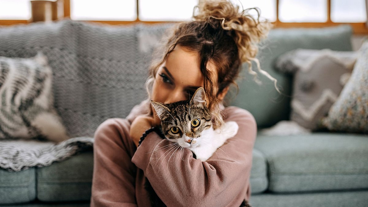 Pet Care Tips: আপনার বিড়াল আপনার সম্পর্কে কী ভাবে? ৫ লক্ষণ দেখলেই বুঝতে পারবেন নিজে