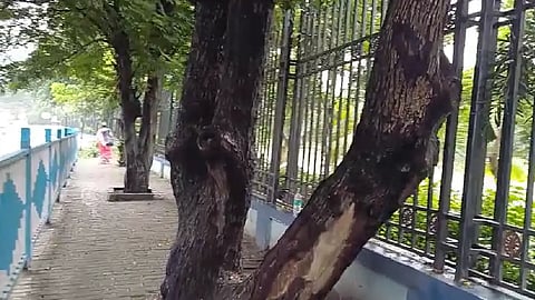 দমদম পার্কের ঝিল্লি পার্কে গ্রিলে অজ্ঞাতপরিচয় যুবকের দেহ উদ্ধার