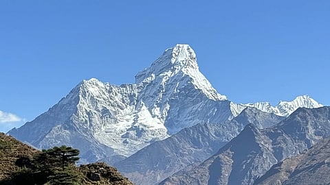 আমা ডাবলাম