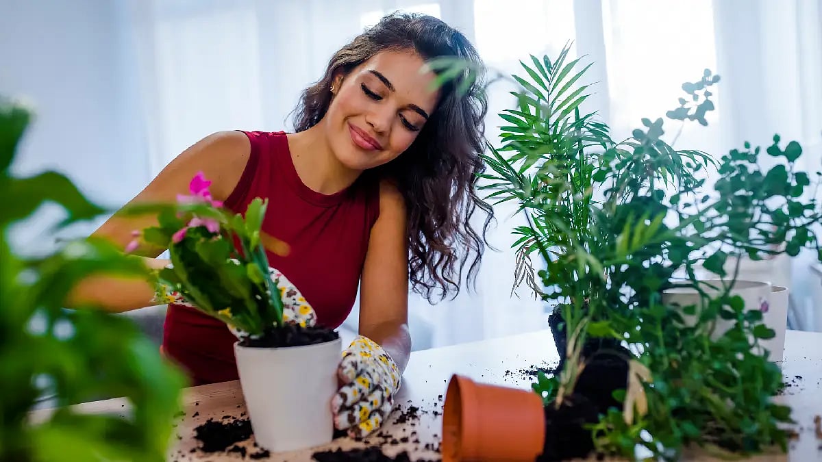 Gardening