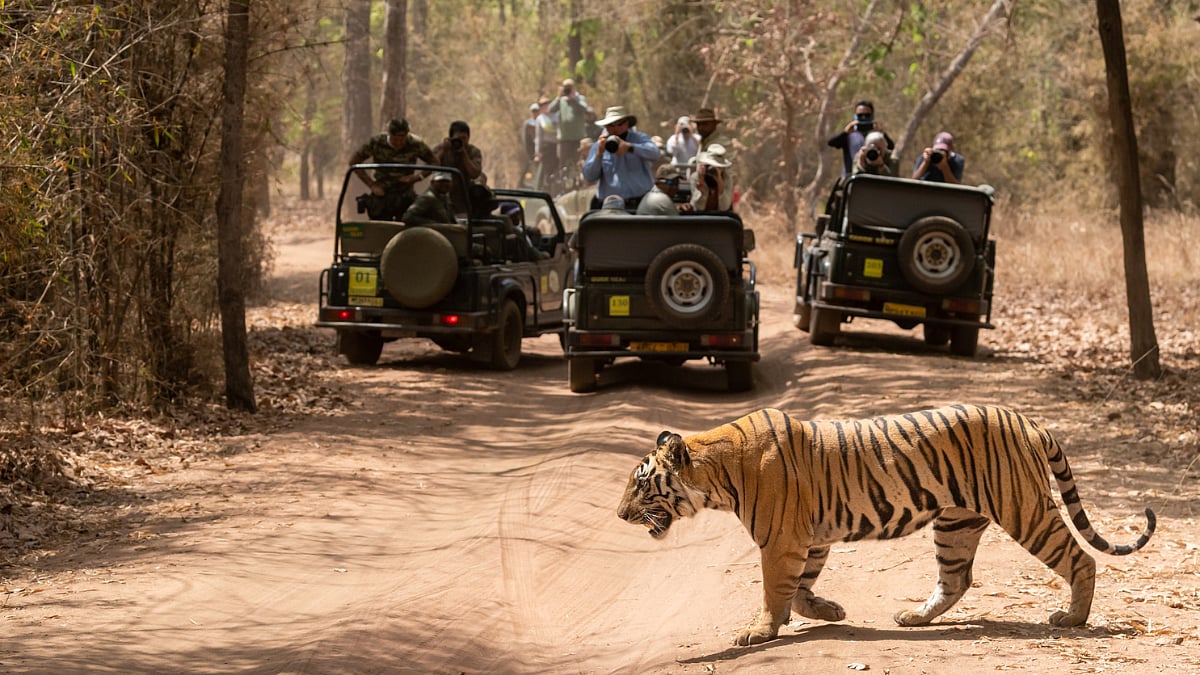 bandhavgarh national park