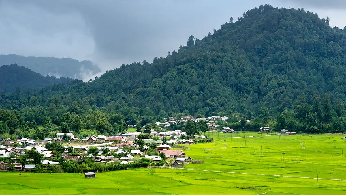 Ziro Valley 