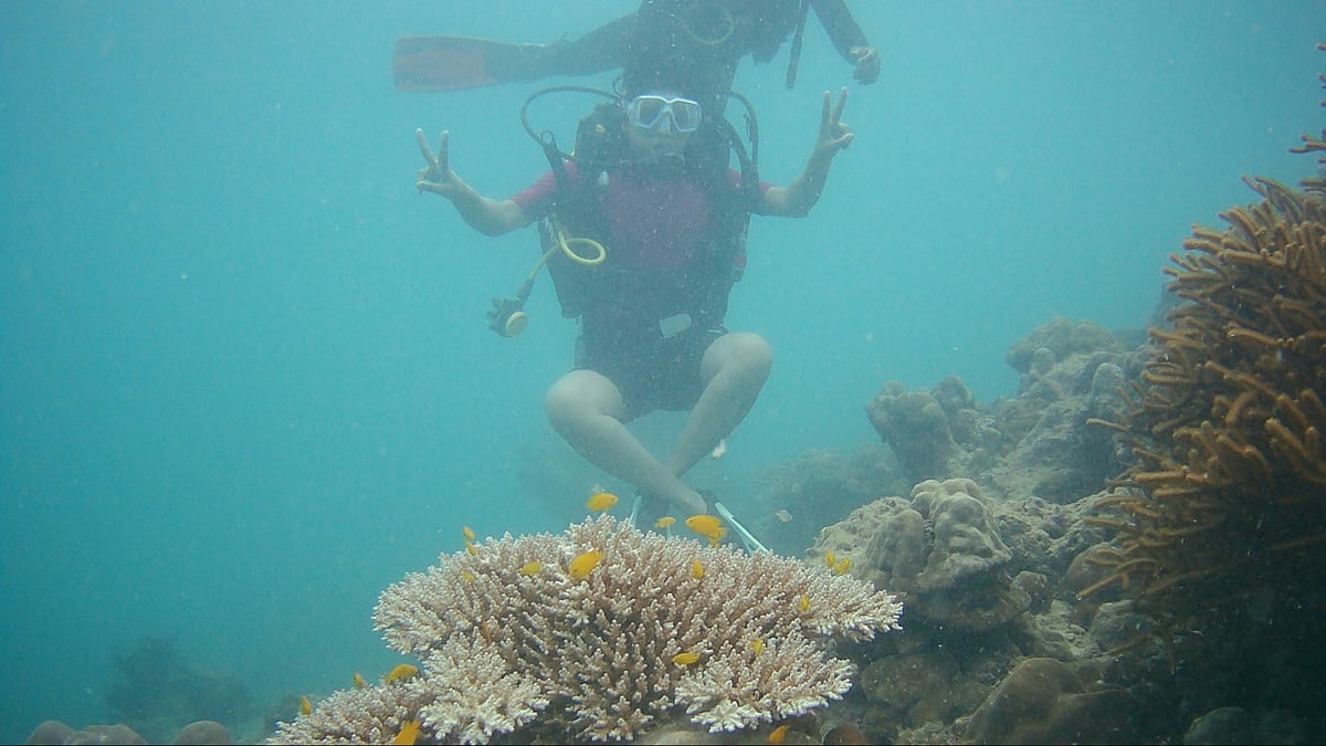 Scuba Diving