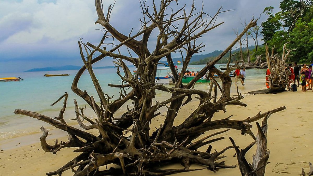 Havelock Island