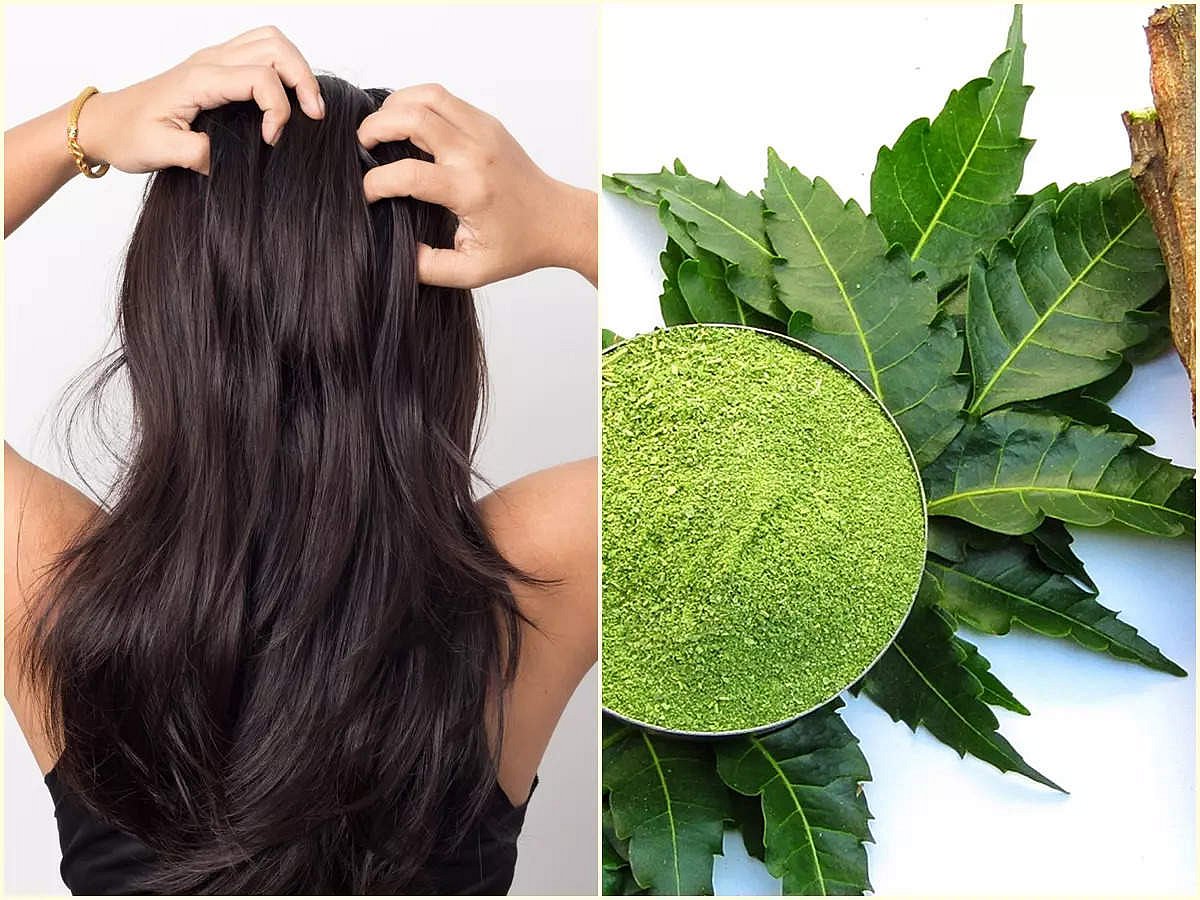 Neem Hair Packs: মুঠো মুঠো চুল ওঠা বন্ধ, ২ সপ্তাহেই হবে ঘন! নিম পাতার ...