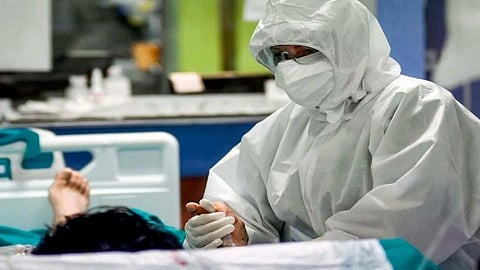Corona Virus