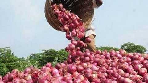Onion