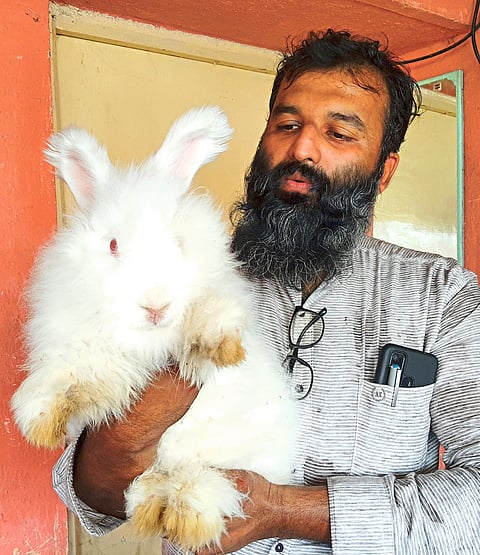 Rabbit farm has been started in Nashik