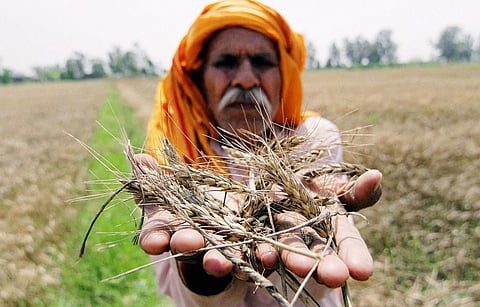farmer 