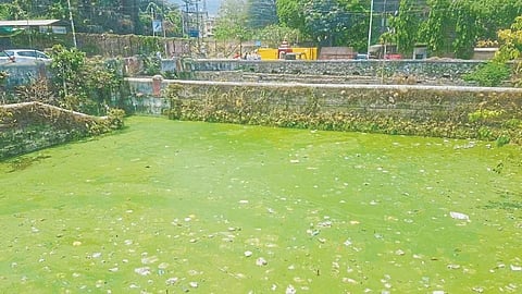 Moti Lake