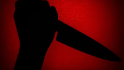 लोखंडी कोयत्याने एकावर हल्ला; दहशत माजवण्याचा प्रयत्न 