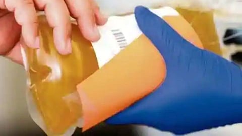 plasma donors