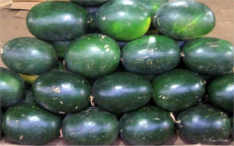 watermelon 