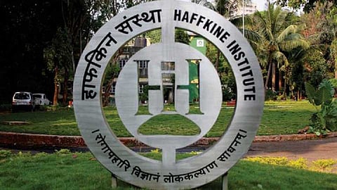 haffkin