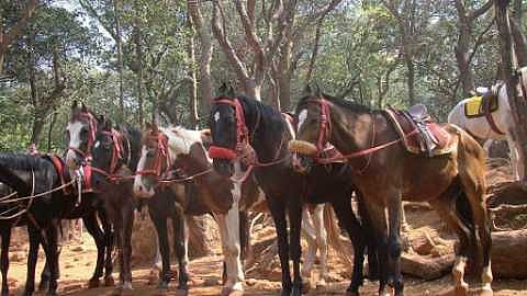 माथेरान 