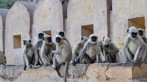 Daulatabad fort