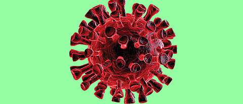 corona virus