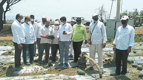 esakal