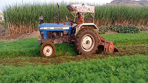 farmer