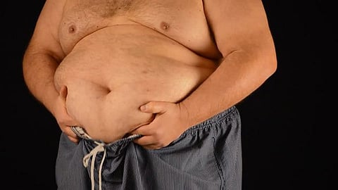 Stomach