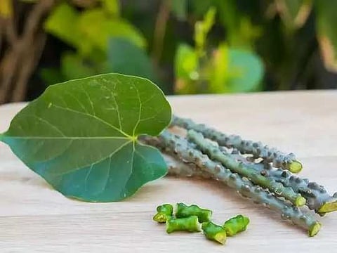 ग्रामीण भागातील महिलांचा गृहसजावटीवर भर;  आरोग्यवर्धक रोपट्यांना महत्व