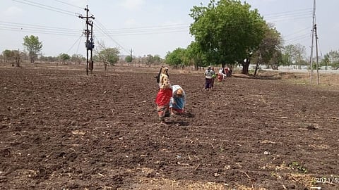 farmer