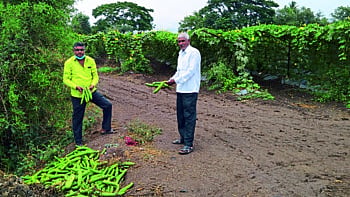 farmers
