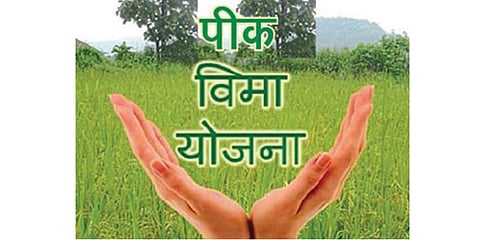 Agriculture Insurance Scheme
