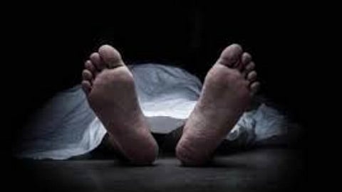 अमरावतीच्या एकलविहीरच्या जंगलात सापडले दोघांचे मृतदेह