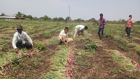 Farmers